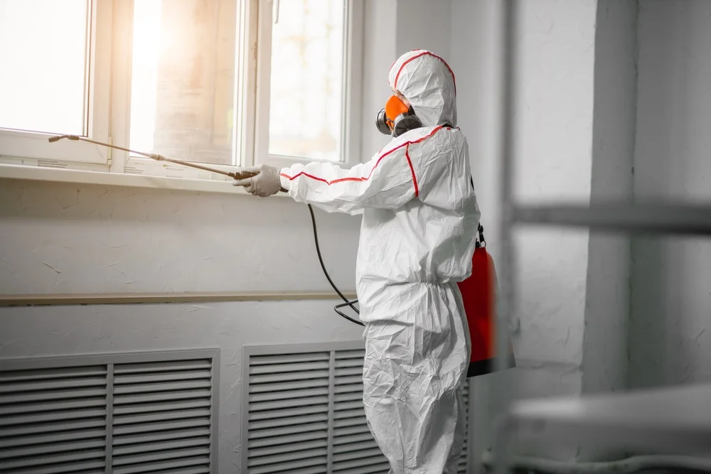 Professional mold remediation services in Cross Plains, WI